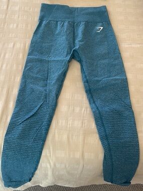 Gymshark Seemless Teal Leggings-Small